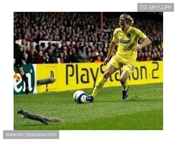 足球场上不良行为的根源、影响及应对策略探讨